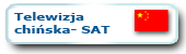 Telewizja chińska