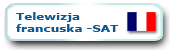Telewizja francuska